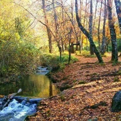Casa La Vega Pensionat El Bosque Exteriör bild